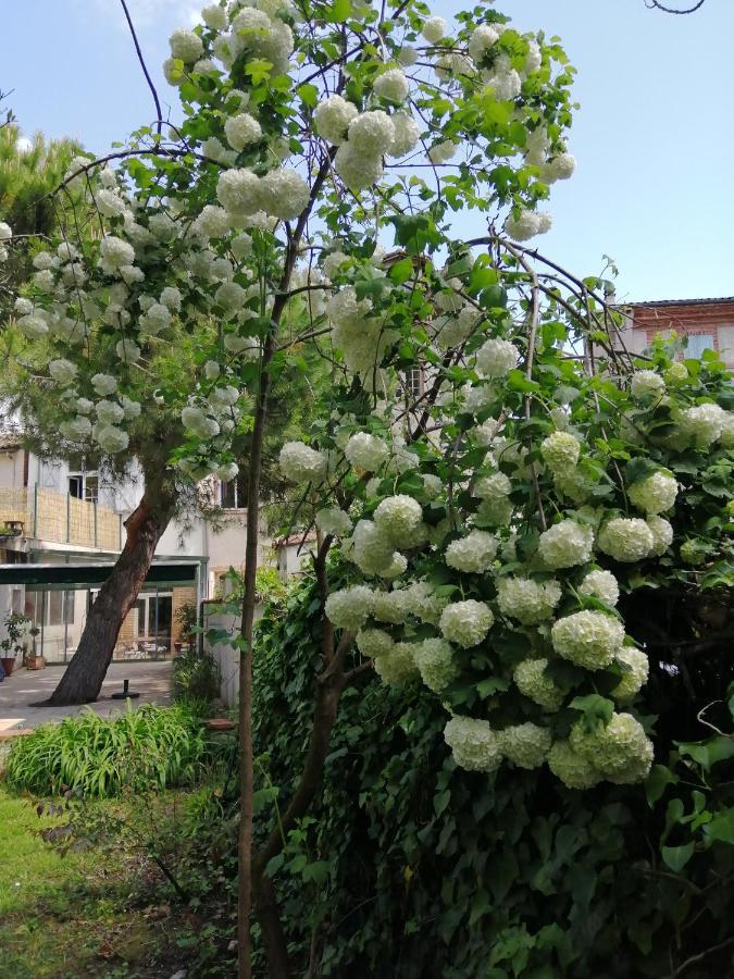 Chambre D'Hotes Pmr Hildegarde Moissac Dış mekan fotoğraf